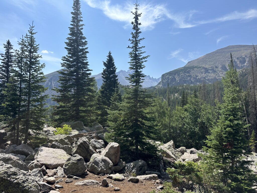 A scenic view og rocks, pine trees, and mountains at RMNP