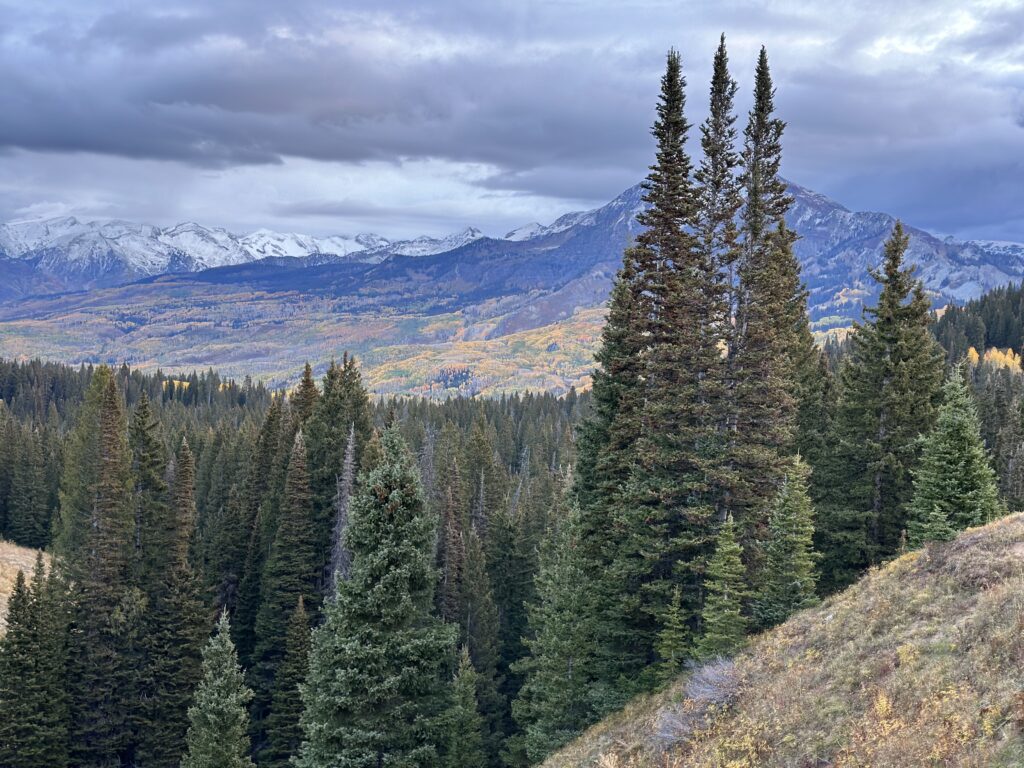 Autumn photo from the Cliff Creek Trail 840 to Beckwith Pass Trail 842 in Crested Butte. 